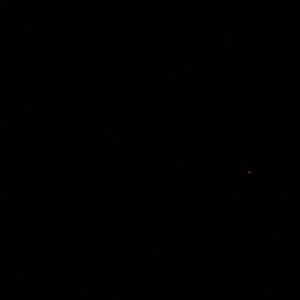 Meet your Posher, Allie